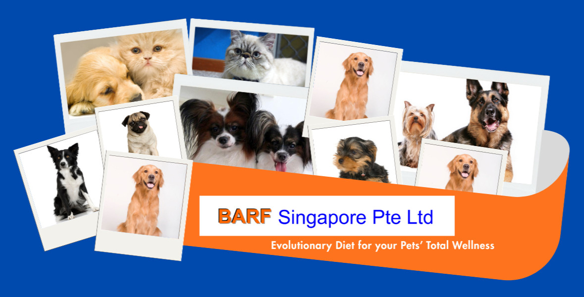 BARF Singapore